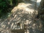 IMG-20240212-WA0023