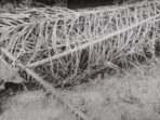 IMG-20251025-WA0020
