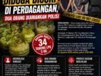 Oplus_16908288